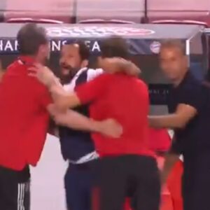 VIDEO Veliko slavlje Hasana Salihamidžića nakon Bayernovog osvajanja Lige šampiona