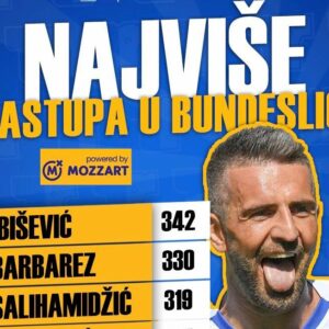 Naši u Bundesligi: Ibišević rekorder po broju nastupa
